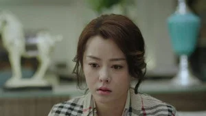 高興的酸甜苦辣 第 28 集劇照