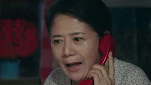 高興的酸甜苦辣 第 24 集劇照
