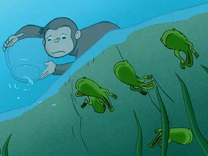 好奇的喬治 第 19 集劇照