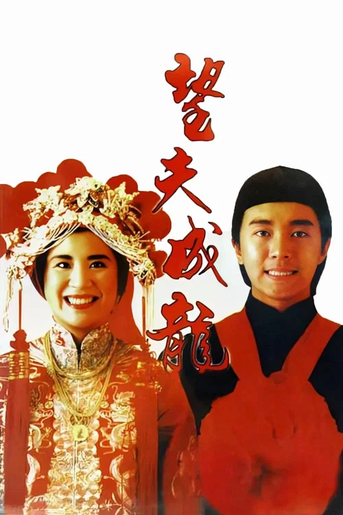 望夫成龍(1990)海報