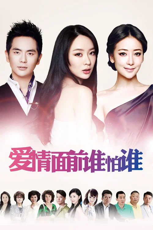 愛情面前誰怕誰(2013)海報