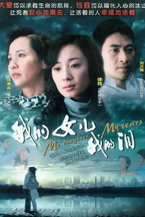 我的女兒我的淚(2009)海報