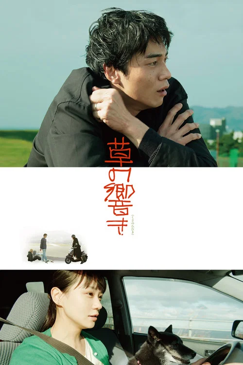 草之韵(2021)海报