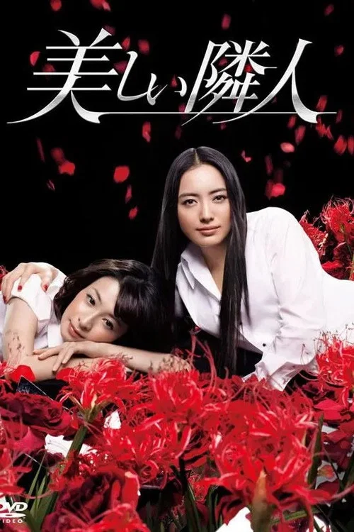 美麗(2011)(2011)海報