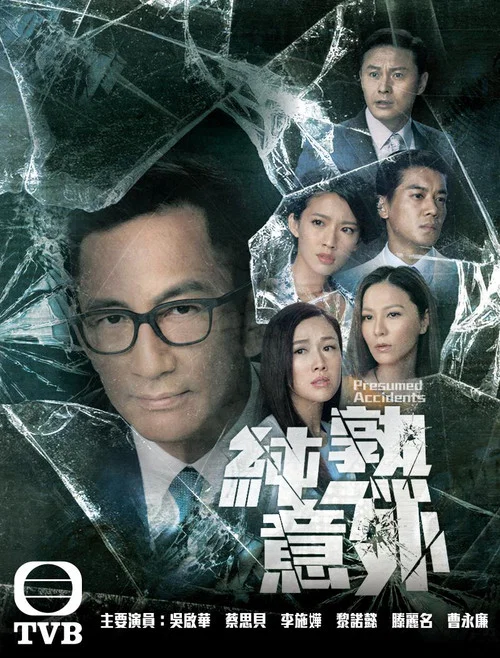 纯熟意外(2016)海报