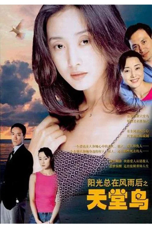 女人行(2003)海报