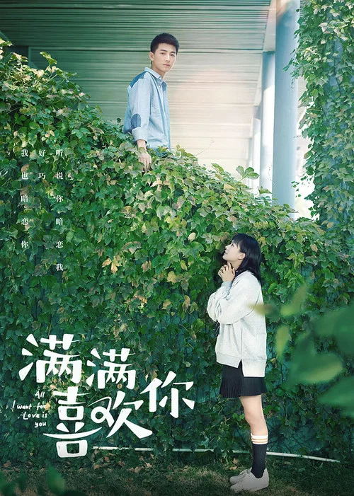 滿滿喜歡你(2019)海報
