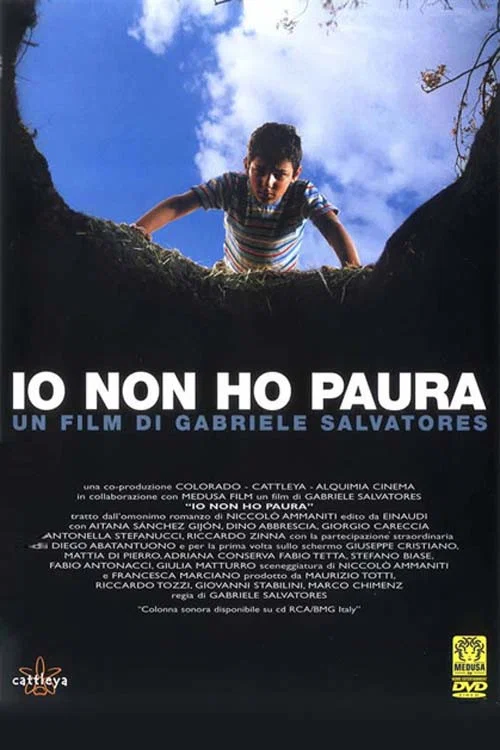有你我不怕(2003)海报