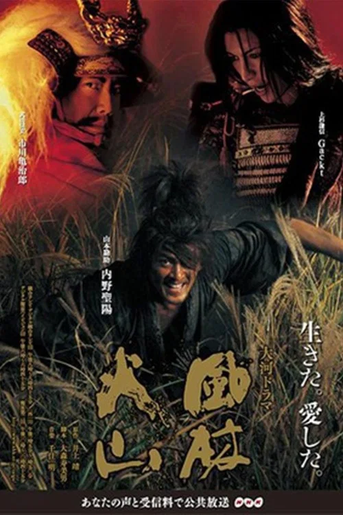 风林火山(2007)(2007)海报