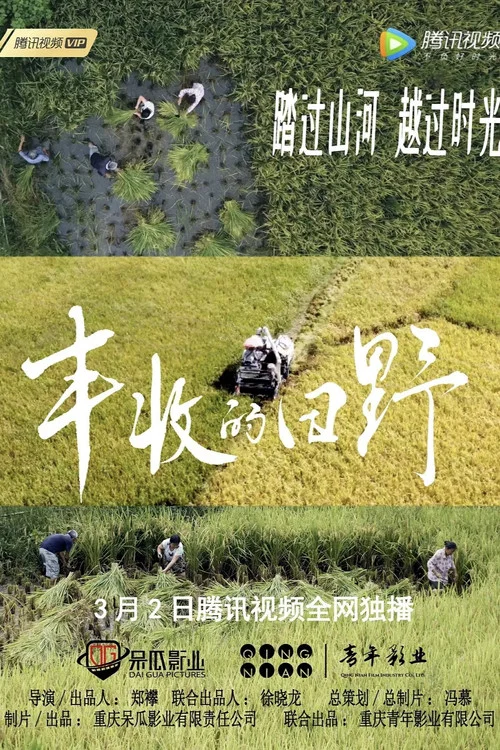 丰收的田野(2022)海报