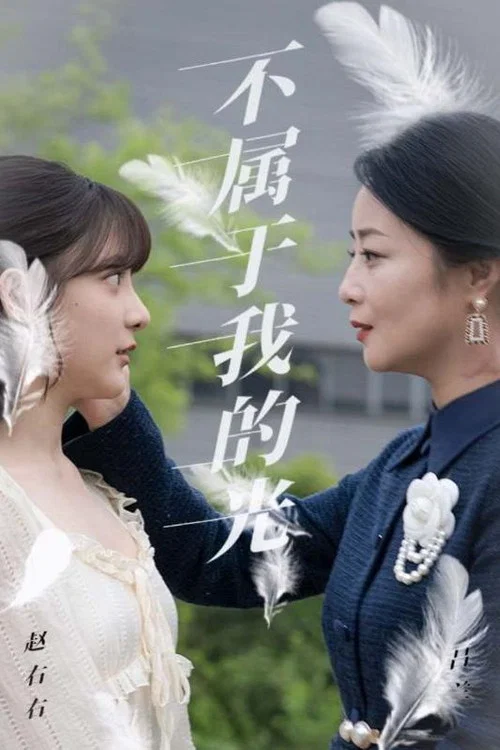 不屬於我的光(2024)海報