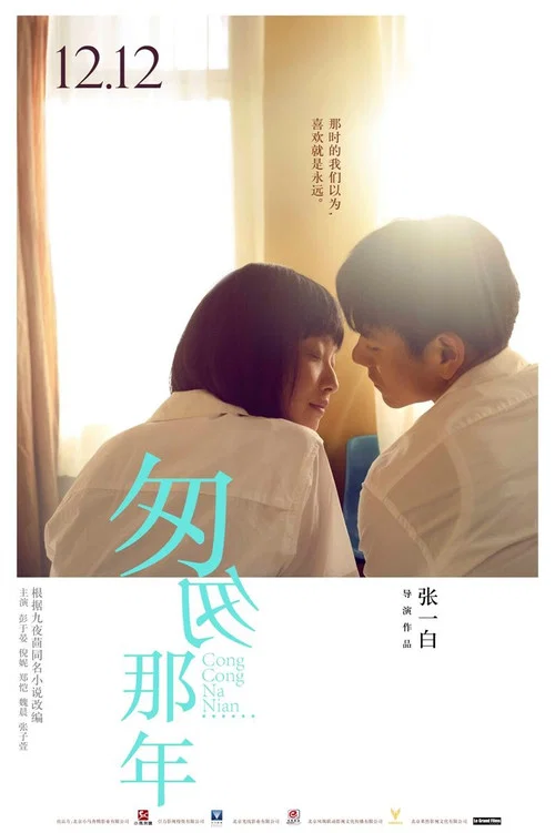 匆匆那年(2014)海報