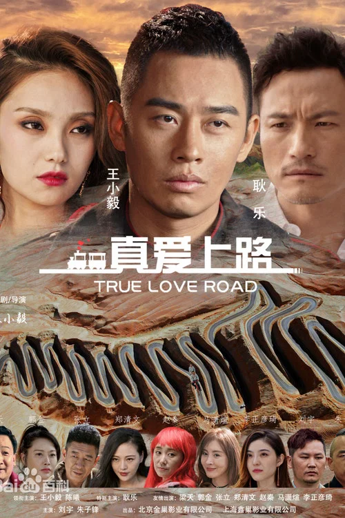 真爱上路(2026)海报