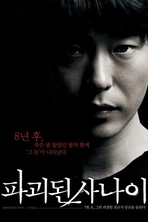 被破壞的男人(2010)海報