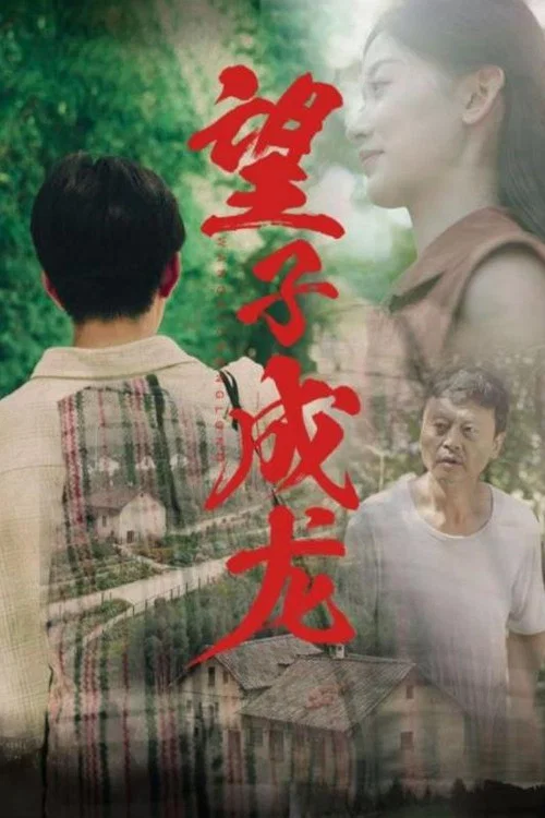 望龙(2024)海报