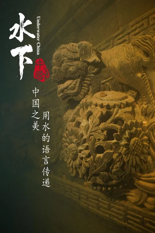 水下中國(2019)海報