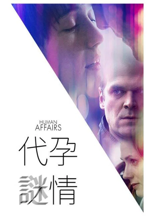 愛人孕事(2018)海報