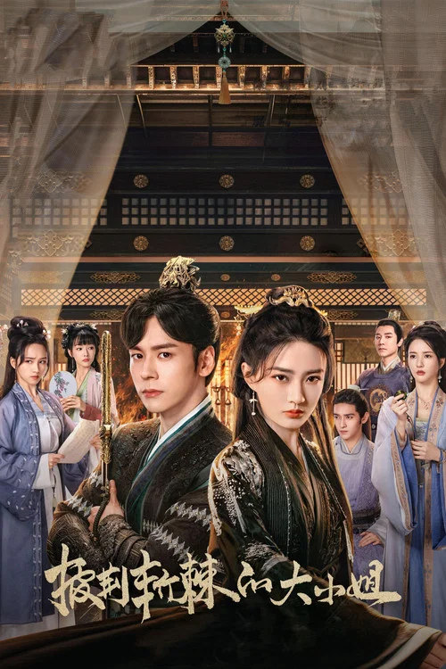 披荆斩棘的大小姐(2024)海报