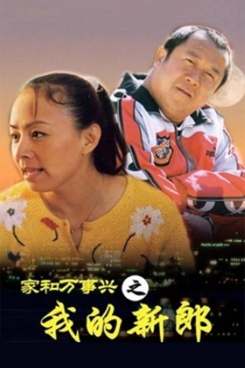 家和萬事興之我的新郎(2002)海報