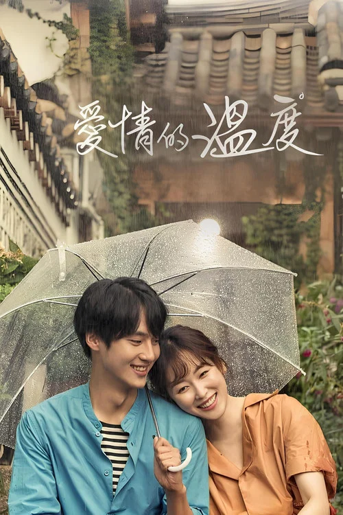 愛情的溫度(2017)海報