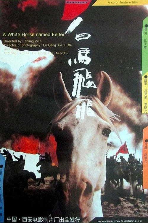 白馬飛飛(1996)海報