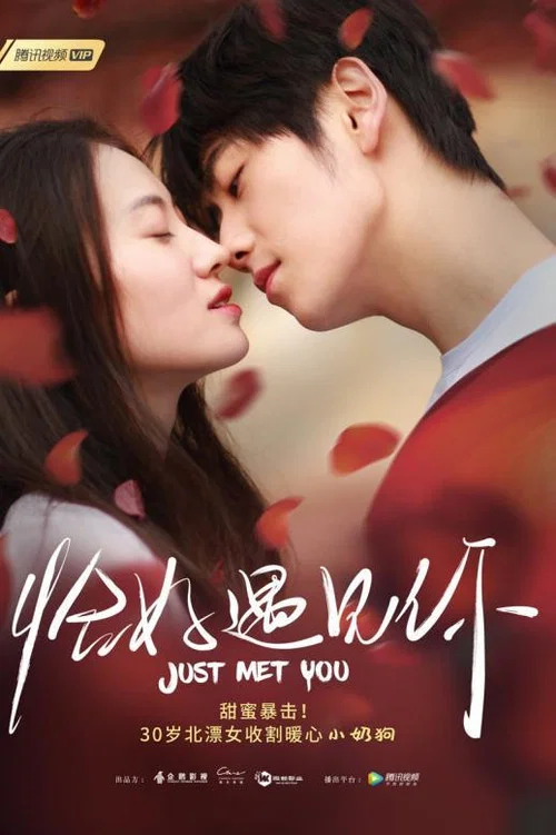 恰好遇見你2021(2019)海報