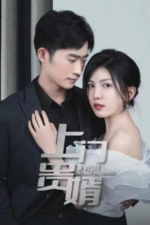 上门贵婿(2023)海报