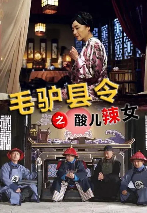 毛驴县令之酸儿辣女(2014)海报