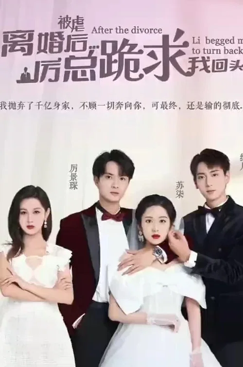 被虐离婚后,厉总跪求我回头(2023)海报