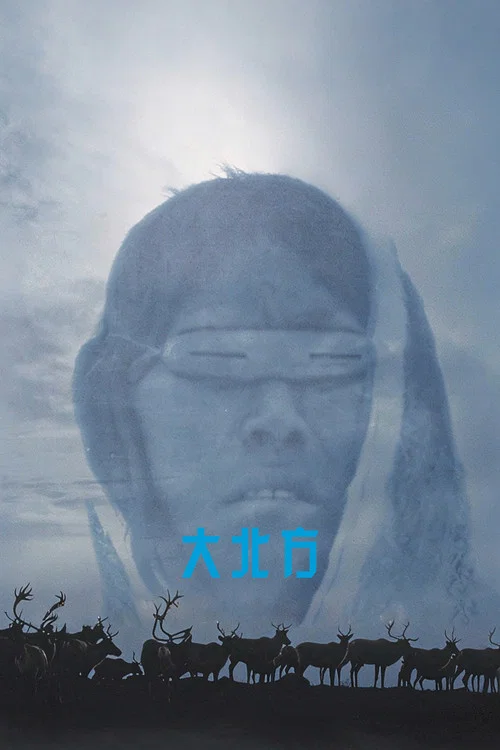 大北方(2001)海報