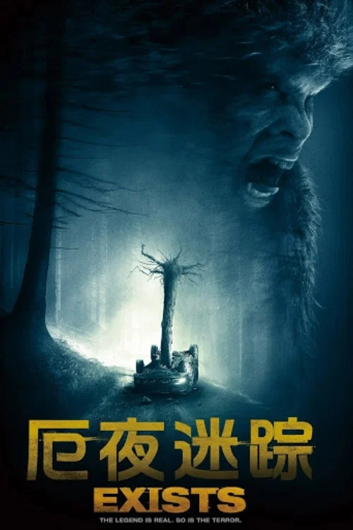 靈異存在(2014)海報