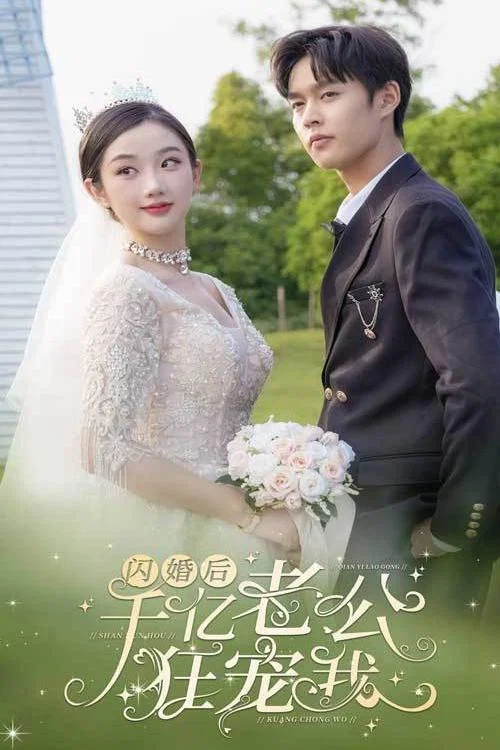 闪婚后,千亿老公狂宠我(2024)海报