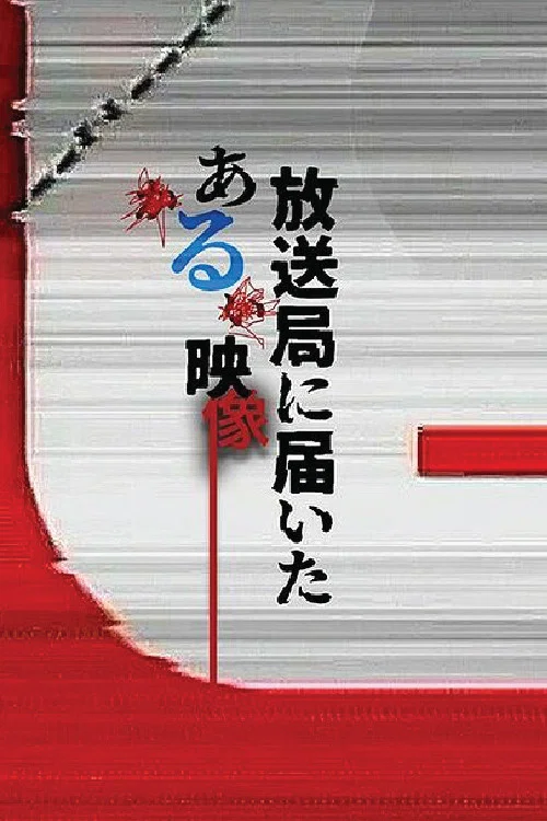 寄往电视台的神秘影像(2026)海报