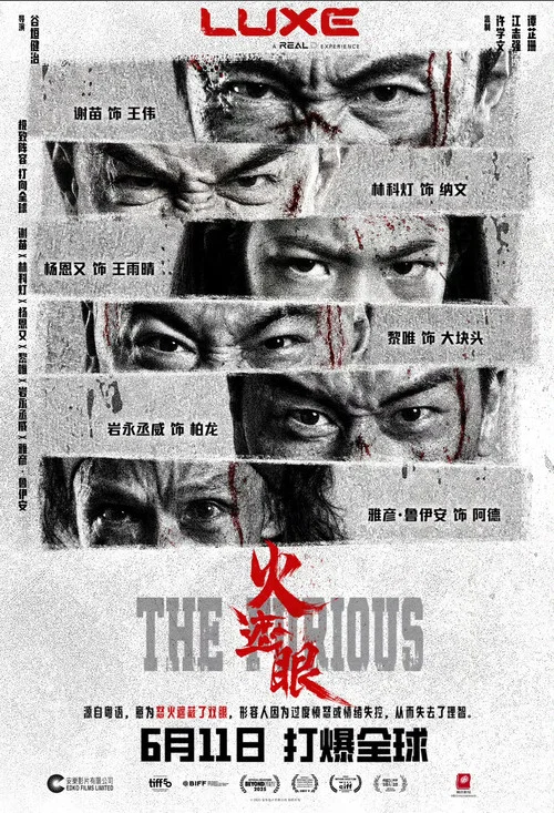 火遮眼剧照8