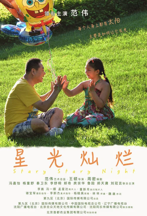 星光燦爛(2017)海報