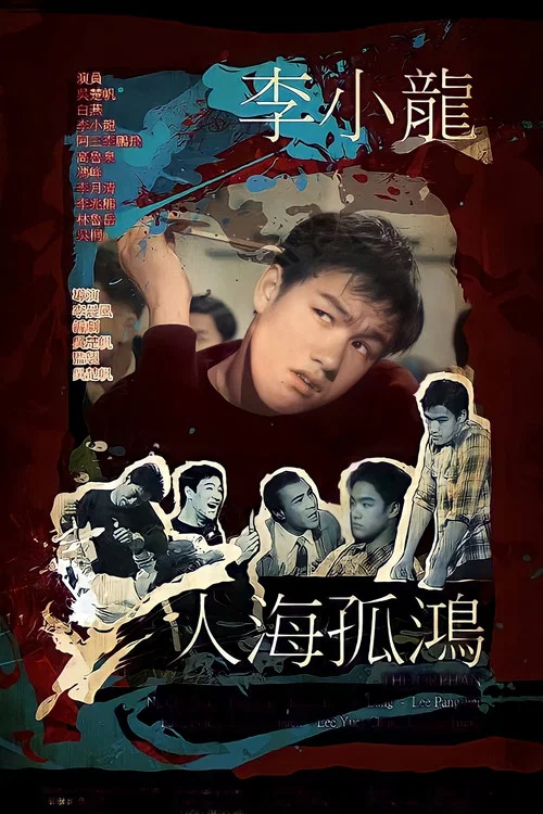 人海孤鸿(1960)海报