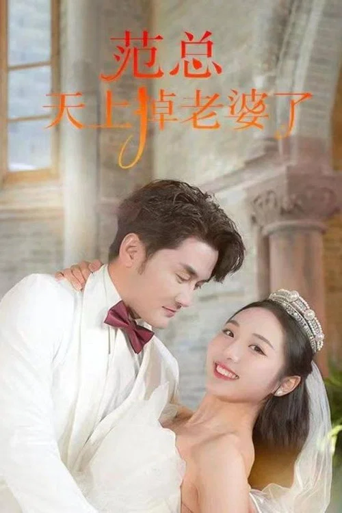 范总天上掉老婆了(2024)海报