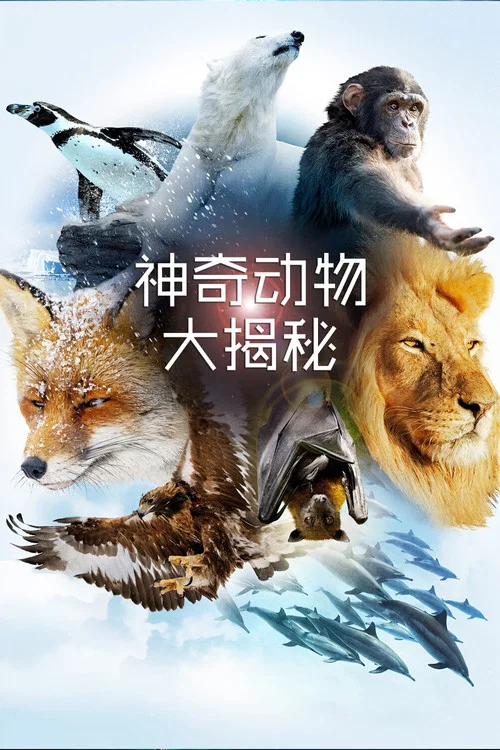 神奇動物大揭秘劇照2