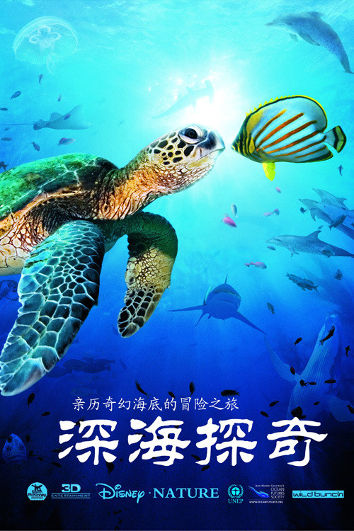 深海探奇(2009)海报