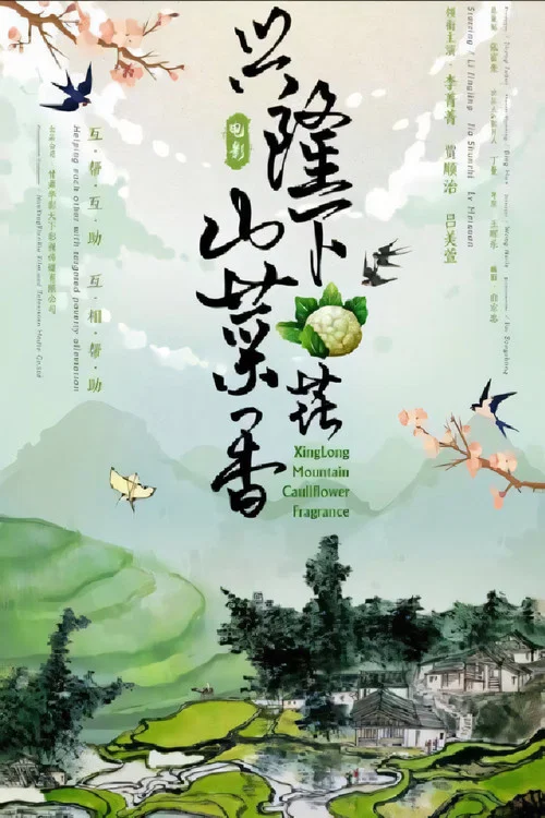 兴隆山下菜花香(2022)海报