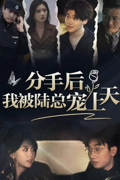 分手后,我被陆总宠上天(2024)海报