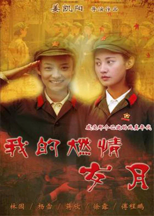 我的燃情岁月(2011)海报
