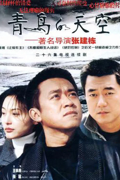 青鳥的天空(2004)海報