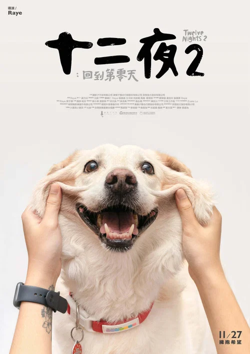 十二夜2:回到第零天(2020)海報
