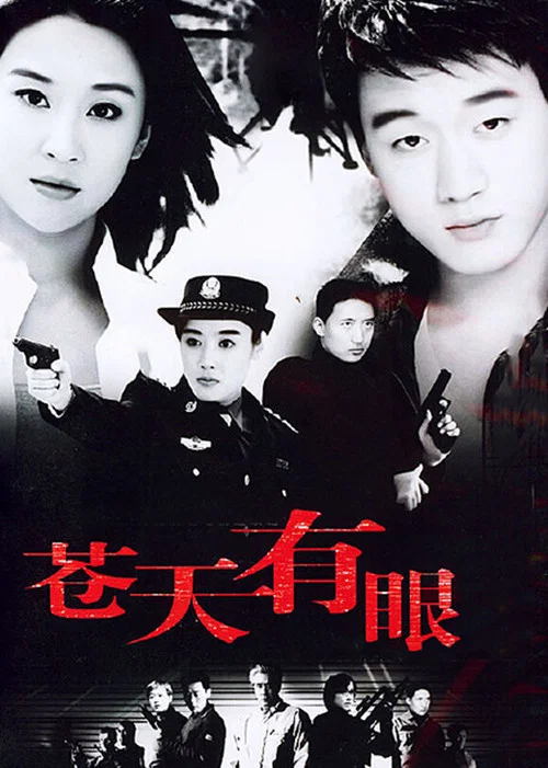 苍天有眼(2005)海报