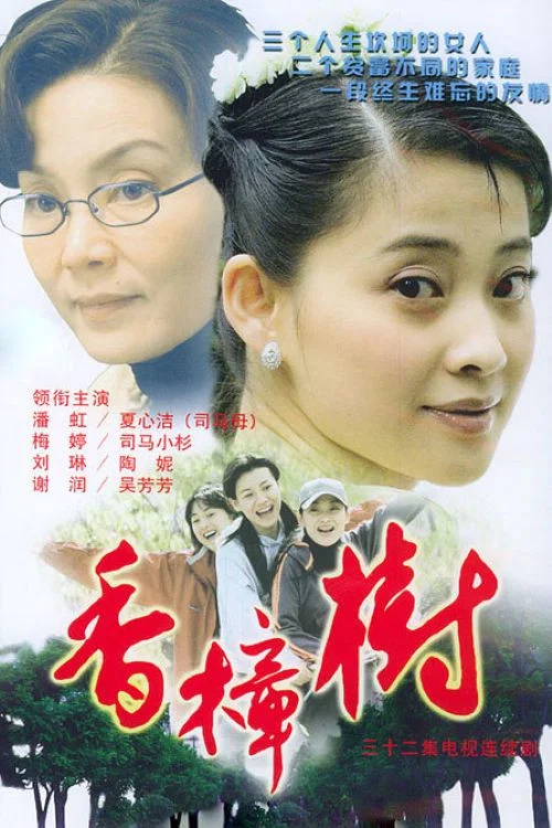 香樟樹(2004)海報