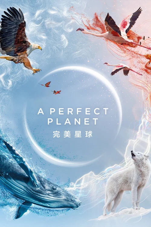 完美星球(2021)海报