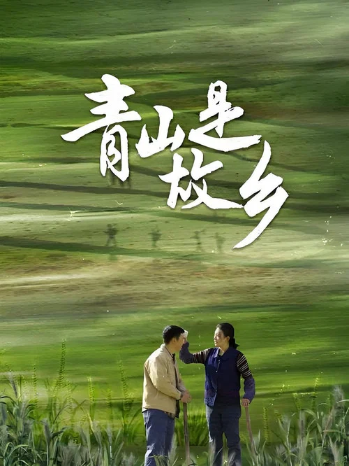 青山是故乡(2025)海报