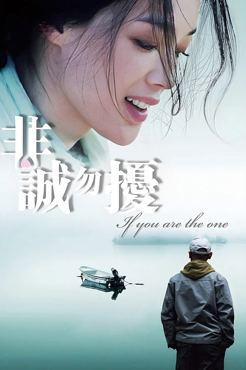 非誠勿擾(2008)海報
