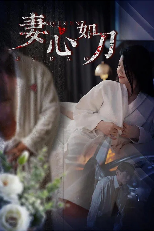 妻心如刀(2024)海报